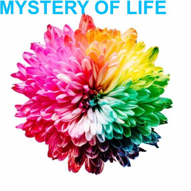 MYSTERY OF LIFE