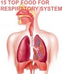15 TOP FOOD FOR STRENGTHEN RESPIRATORY SYSTEM
